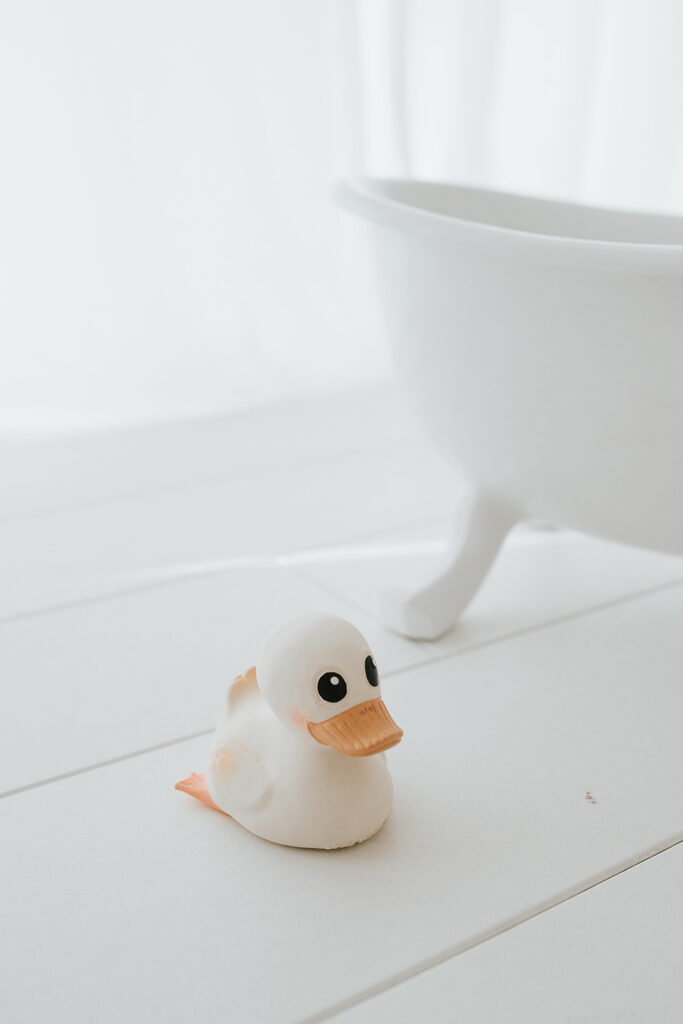 Fotografski studio v Posočju