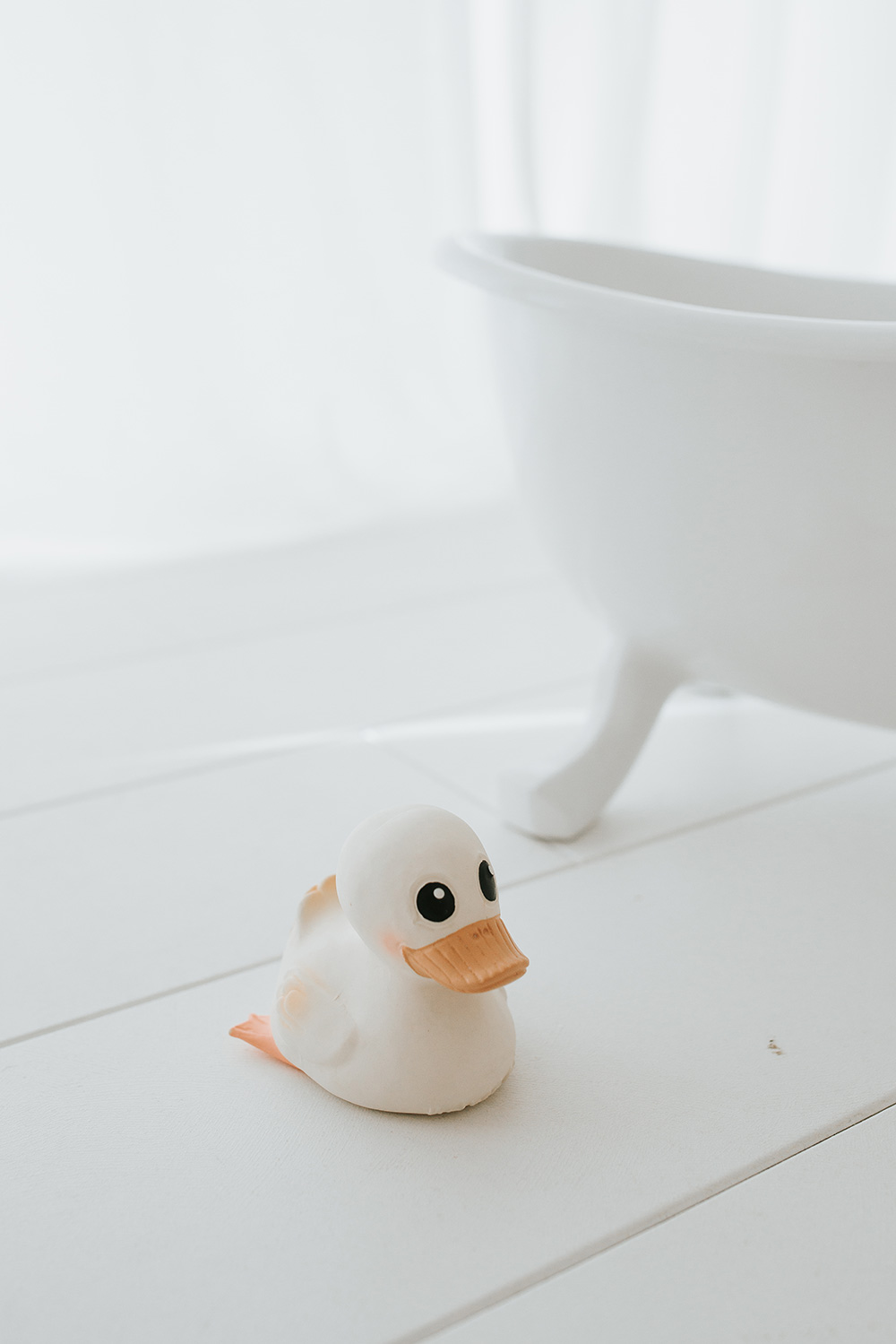 Fotografski studio v Posočju